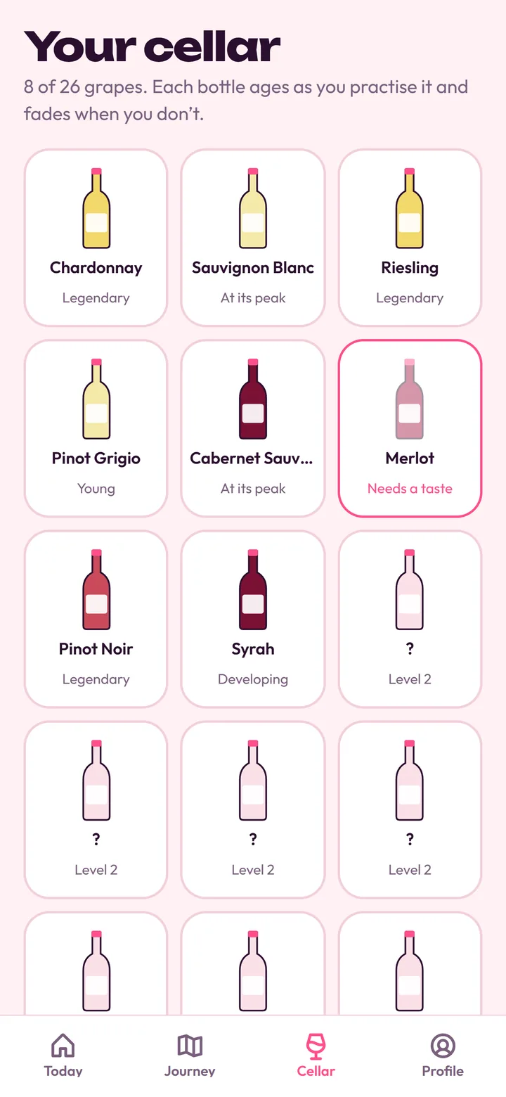 The cellar with bottles of Chardonnay, Riesling, Pinot Noir and more, each with its ageing state